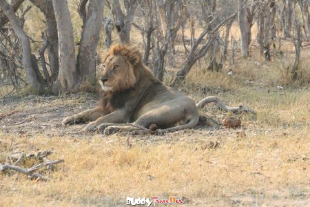 Adventurous Travel Companioin Wanted for Overland Trips in Southeren Africa